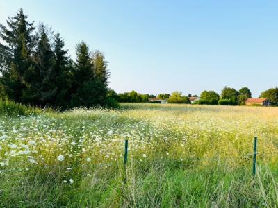 Vente Terrain ROMILLY-SUR-SEINE 10100