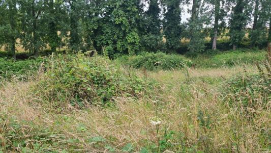 photo For sale Land SAINT-JEAN-DU-DOIGT 29