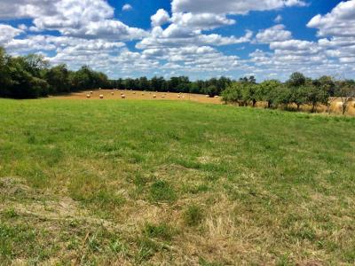 For sale Land THIVIERS  24