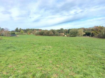 photo For sale Land THIVIERS 24