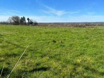 For sale Land THIVIERS  24