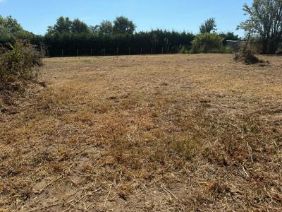 For sale Land SAINT-SEURIN-SUR-L'ISLE  33