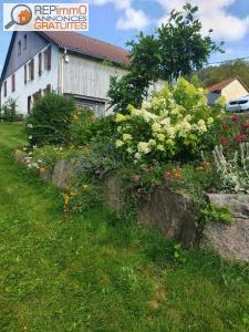 photo For sale House LA-BRESSE 88