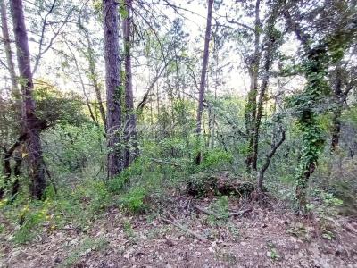 photo For sale Land SAINT-MARTIN 83