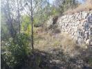 For sale Land Callas  83830 3015 m2