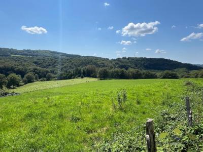 photo For sale Land EYMOUTIERS 87