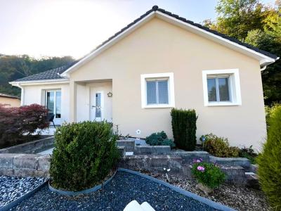 Vente Maison MONT-SAINT-MARTIN 