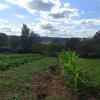 For sale Land Mansac  19520 1226 m2