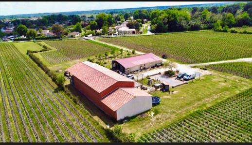 Vente Domaine agricole CISSAC-MEDOC  33