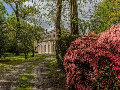 photo For sale Prestigious house BORDEAUX 33