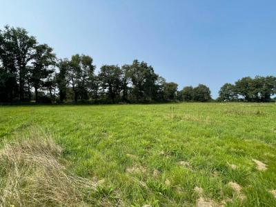 photo For sale Land PLESCOP 56