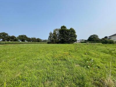 photo For sale Land PLESCOP 56