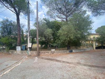 Vente Terrain PUGET-SUR-ARGENS  83