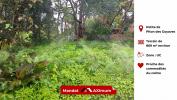 For sale Land Petite-ile  97429 869 m2