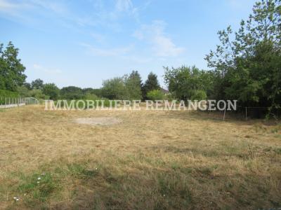 Vente Terrain FERTE-BEAUHARNAIS  41