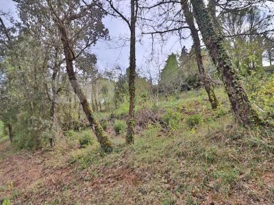 Vente Terrain TAUSSAC-LA-BILLIERE 34600