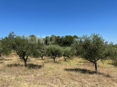 photo For sale Land MASSILLARGUES-ATTUECH 30