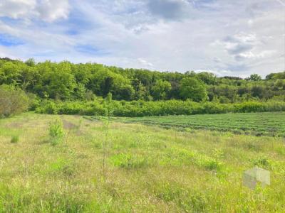 For sale Land SAINT-MONTAN  07