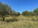 Acheter Terrain Massillargues-attuech 70000 euros