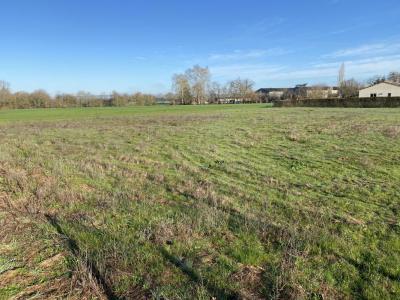 photo For sale Land SEMALENS 81