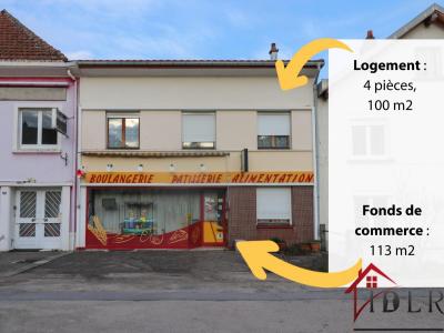 Vente Local commercial BROUVELIEURES  88