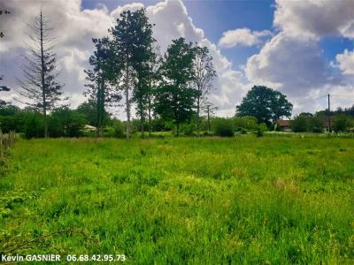 photo For sale Land CHAZELLES 16