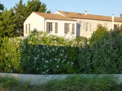 photo For sale House JONQUERETTES 84