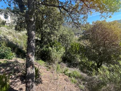 photo For sale Land OCANA 20