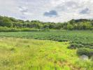 For sale Land Saint-montan  07220 1800 m2