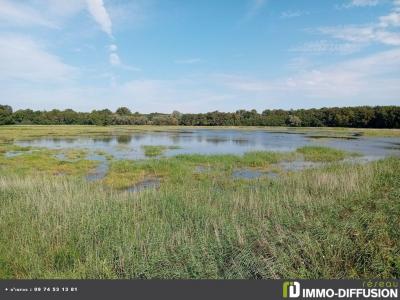 Vente Terrain SAINT-ANDRE-DE-CORCY CALME 01