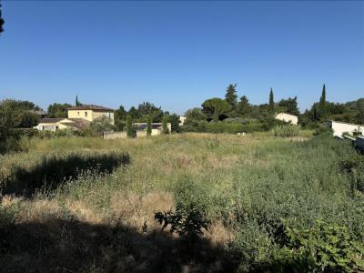 photo For sale Land VELLERON 84