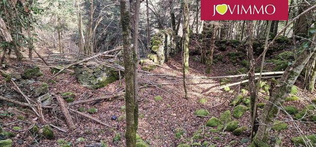 For sale Land BAGNERES-DE-LUCHON  31