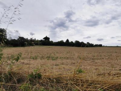 photo For sale Land SAINT-LEON 31