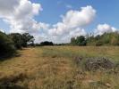 Land SAINT-BENOIT-SUR-LOIRE 