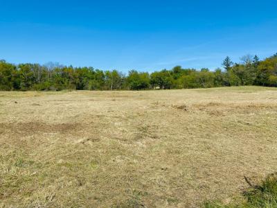 photo For sale Land CURSAN 33