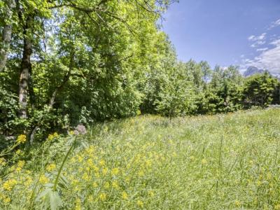 photo For sale Land BERNEX 74