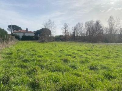 photo For sale Land MONTAUBAN 82