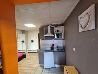 Location Appartement SAINT-SYMPHORIEN-D'OZON  69