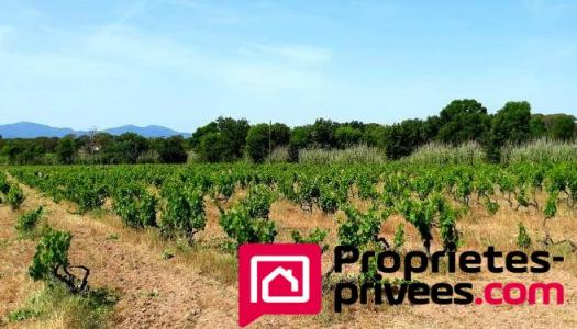 Vente Maison VIDAUBAN  83