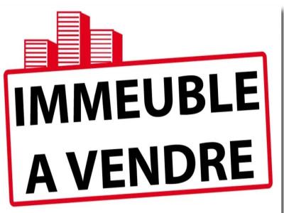 Vente Immeuble SAINT-LOUIS  974