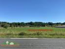 For sale Land Villeneuve-de-riviere  31800 9100 m2