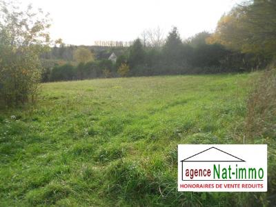 Vente Terrain CHANTECOQ  45