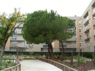 Location Appartement 3 pices AVIGNON 84000