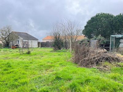 photo For sale Land SAINT-GERMAIN-SUR-MOINE 49