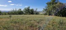 For sale Land Peret  34800 5500 m2