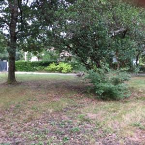 photo For sale Land SAINT-DENIS-DE-PILE 33