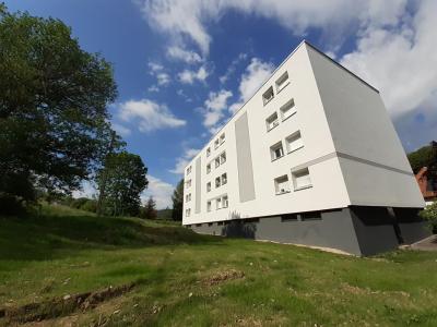 For rent Apartment CROIX-AUX-MINES  88