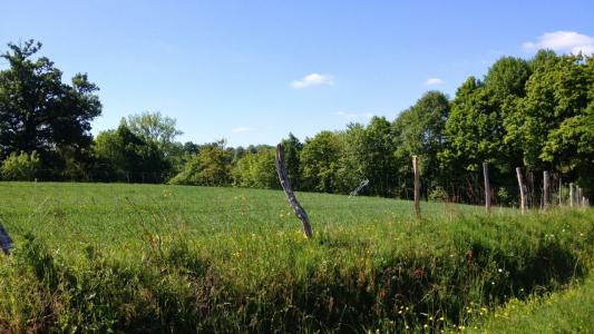 For sale Land LIMOGES  87