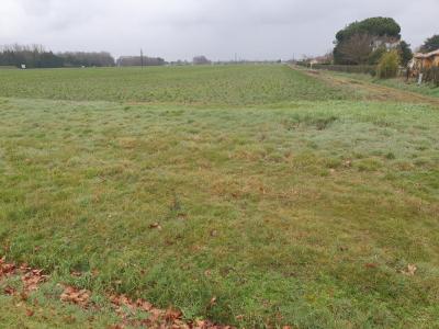 For sale Land PIAN-MEDOC  33