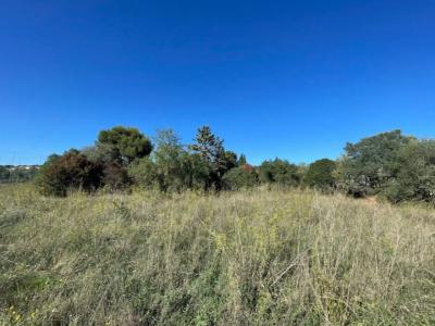 photo For sale Land SAIGNON 84